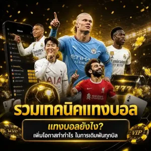 เว็บแทงบอลไม่ผ่านเอเย่นต์
